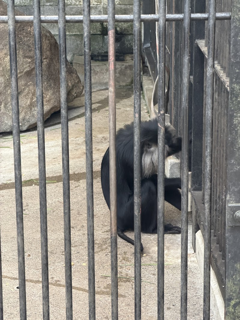 大宮公園