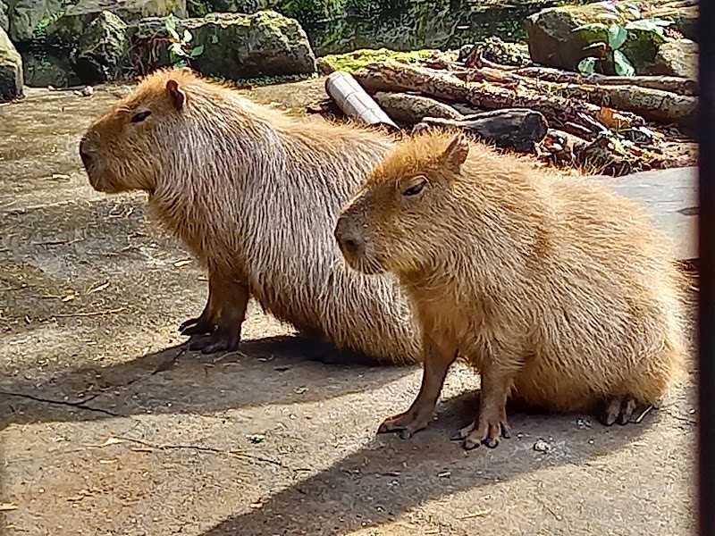 大宮公園