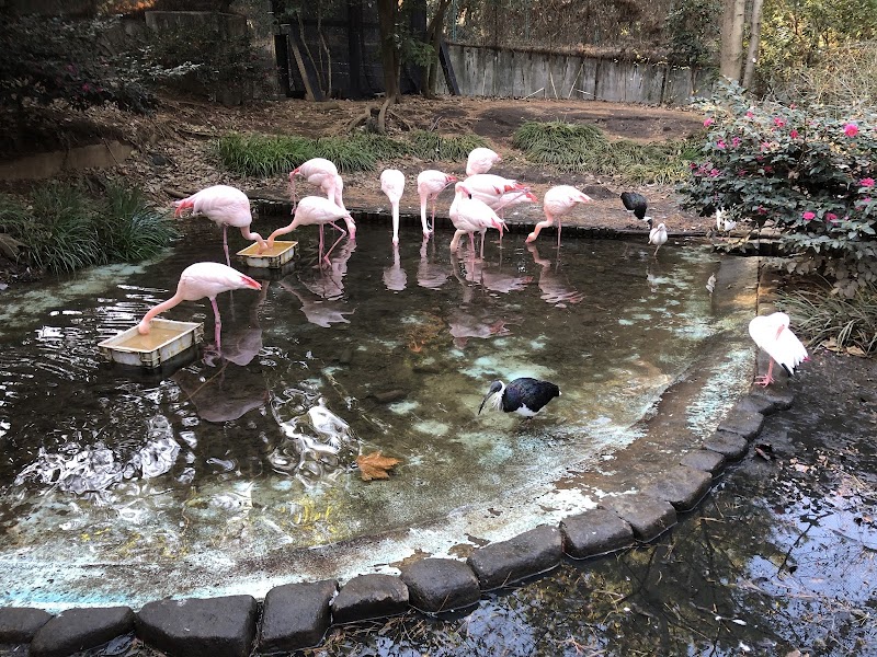 大宮公園