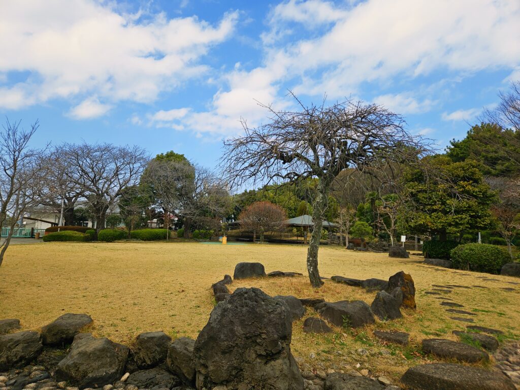 芝生エリア
