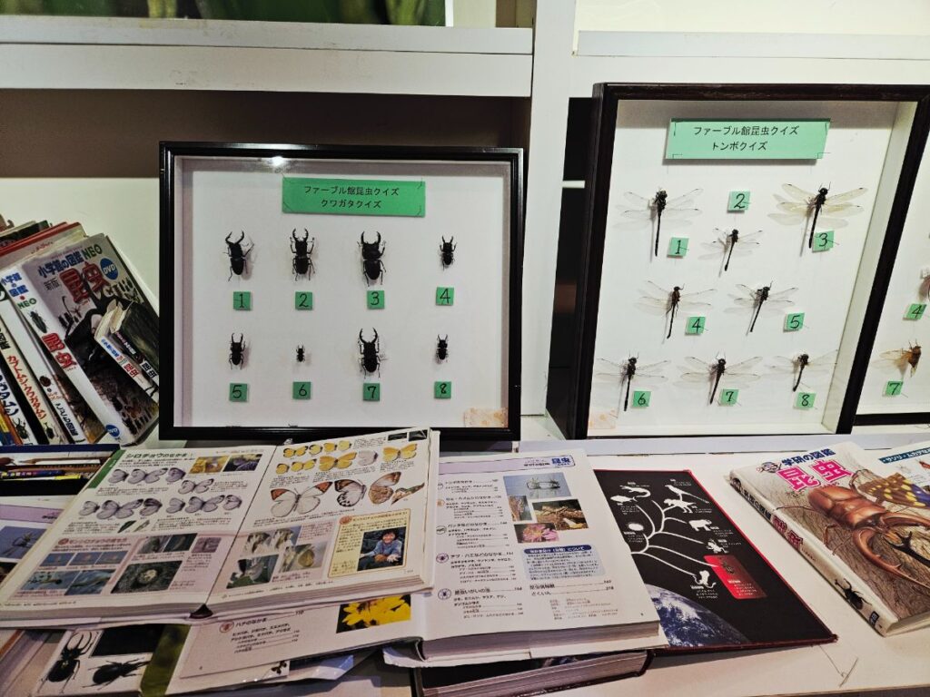 文字が読めなくても楽しめる展示があります。「これなに？」「どこにいる？」と親子の会話が自然に生まれます。