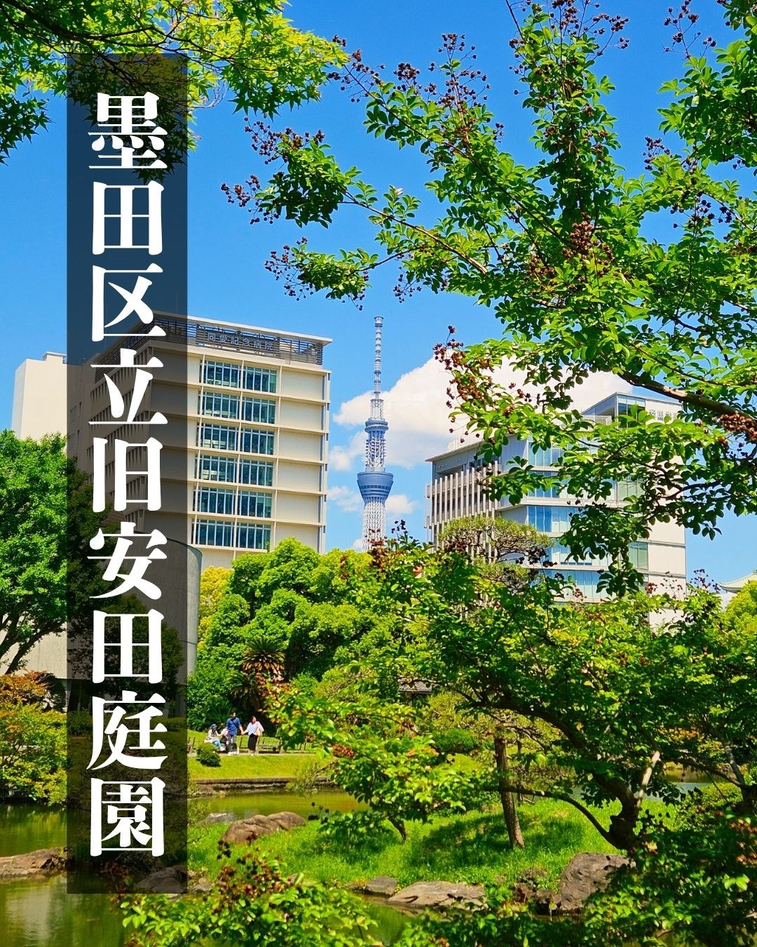 自然を満喫できる穴場スポット・・(@{Type=card; Url=https://test.futofura.com/media/026_yasuda_teien/; FinalUrl=https://test.futofura.com/media/026_yasuda_teien/; Title=旧安田庭園｜ベビーカーOKで子どもと静かな和の景色を楽しめる都会の庭園 | 穴場おでかけスポット検索メディア【ふとふらっと】; SiteName=穴場おでかけスポット検索メディア【ふとふらっと】; Description=; ImageUrl=https://test.futofura.com/wp-content/uploads/2026/05/%E5%AD%90%E4%BE%9B%E3%81%A8%E3%81%AE%E3%81%8A%E3%81%A7%E3%81%8B%E3%81%91%E5%85%88%E3%81%AE%E9%81%B8%E3%81%B3%E6%96%B9%EF%BC%81-3.jpg; ImageSource=ogp; HostName=test.futofura.com}.Title)