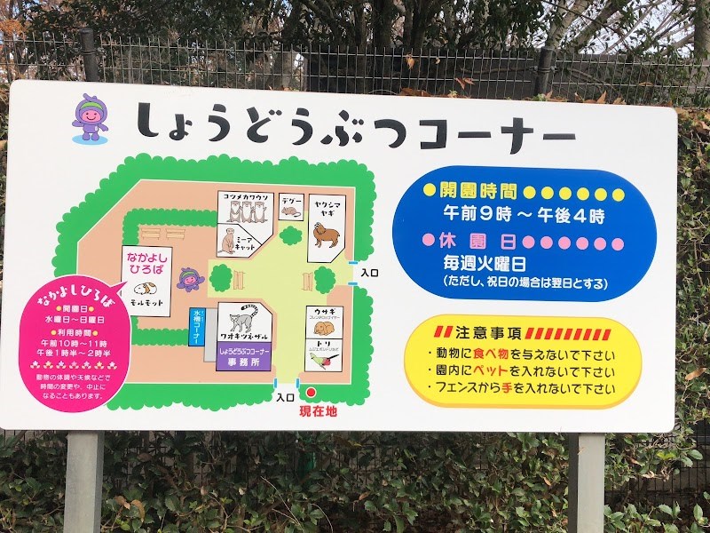 上尾丸山公園・・(@{Type=card; Url=https://test.futofura.com/spot/ageo-doubutsu/; FinalUrl=https://test.futofura.com/spot/ageo-doubutsu/; Title=HasedenあげおまんまるZoo | 穴場おでかけスポット検索メディア【ふとふらっと】; SiteName=穴場おでかけスポット検索メディア【ふとふらっと】; Description=; ImageUrl=https://test.futofura.com/wp-content/uploads/2026/02/AJRVUZMiPDaySMHQlUMx0uM2ALb9XTyb-gaAnV_Yof3XJjXrStWGEDPjM3TFD7Oo1VZXEwyPuoTCbVzgLLG7Jcap7hxmoDSu4Qkdih3Iap3qqBj5Lv_ML2bwKjHgnwwLQ-zMc2HdcuzQeRgKBhwpWQs1600-w800.jpg; ImageSource=ogp; HostName=test.futofura.com}.Title)
