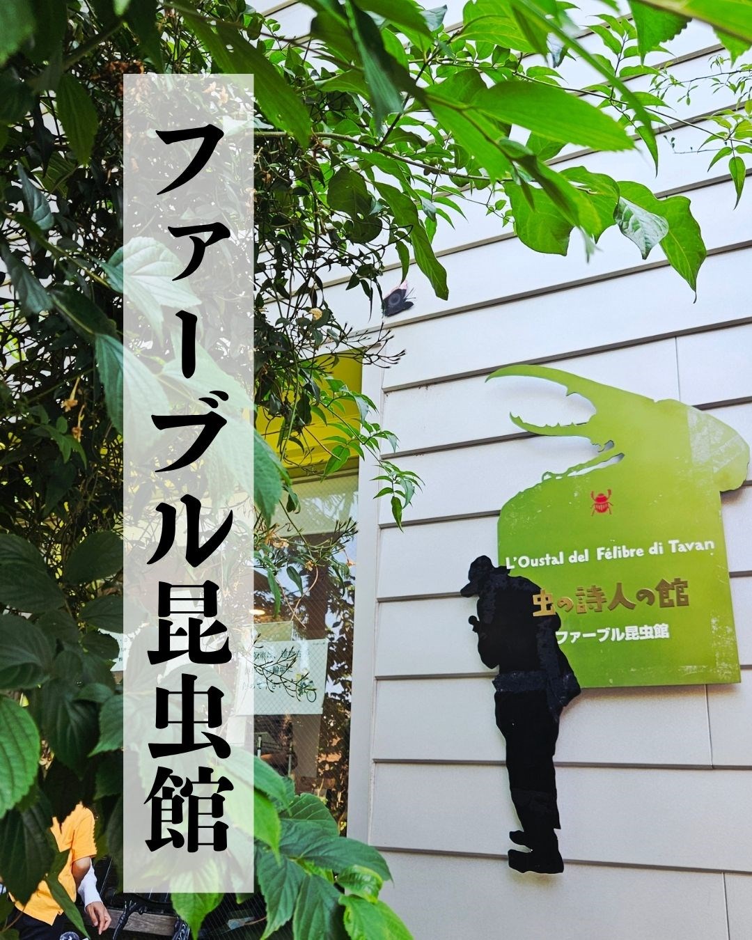 室内で楽しめる穴場スポット・・(@{Type=card; Url=https://test.futofura.com/media/028_fabre_konchu/; FinalUrl=https://test.futofura.com/media/028_fabre_konchu/; Title=ファーブル昆虫館｜虫好きキッズが夢中になる！クイズやふれあいで楽しめる文京区の無料昆虫館 | 穴場おでかけスポット検索メディア【ふとふらっと】; SiteName=穴場おでかけスポット検索メディア【ふとふらっと】; Description=; ImageUrl=https://test.futofura.com/wp-content/uploads/2026/05/%E5%AD%90%E4%BE%9B%E3%81%A8%E3%81%AE%E3%81%8A%E3%81%A7%E3%81%8B%E3%81%91%E5%85%88%E3%81%AE%E9%81%B8%E3%81%B3%E6%96%B9%EF%BC%81-1-1.jpg; ImageSource=ogp; HostName=test.futofura.com}.Title)