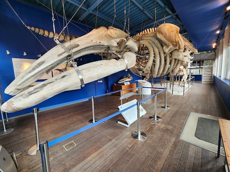 自由研究にもなる学びスポット・・(@{Type=card; Url=https://test.futofura.com/spot/tokyo_kaiyo_museum/; FinalUrl=https://test.futofura.com/spot/tokyo_kaiyo_museum/; Title=東京海洋大学マリンサイエンスミュージアム | 穴場おでかけスポット検索メディア【ふとふらっと】; SiteName=穴場おでかけスポット検索メディア【ふとふらっと】; Description=; ImageUrl=https://test.futofura.com/wp-content/uploads/2026/05/AJRVUZPgRK17BgXzdCF_wO_b3xS23jJ7JnS1Hnke6sKHWsy1yfHZb8AybHOXLsST2NHmF9ouZkqYJ-xkru5j0GLwJoAPUkzaeJAajDYb7X5BgZ_jaw7qZZ4F7r0BXTzR1dCiGs38TBAE4inB8PzU6yss1600-w800.jpg; ImageSource=ogp; HostName=test.futofura.com}.Title)