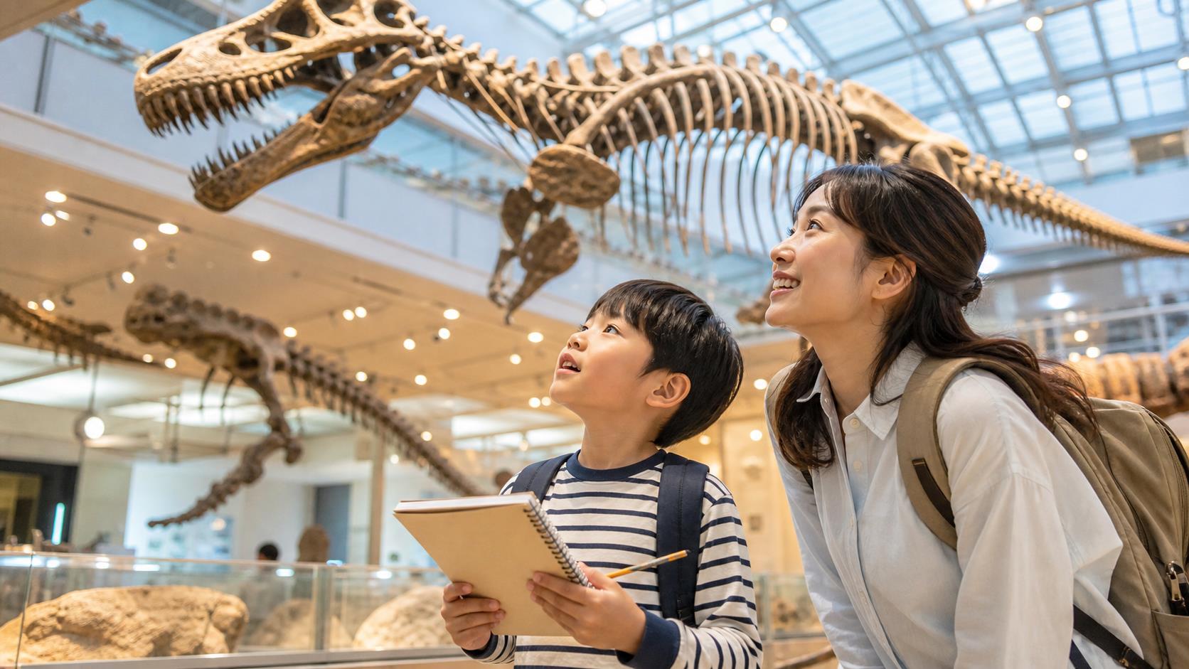 恐竜や化石を観察する子供のイメージ