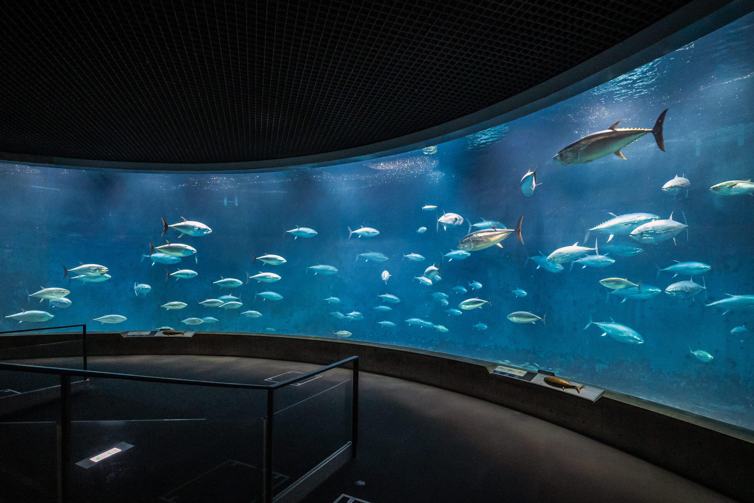 葛西臨海水族園