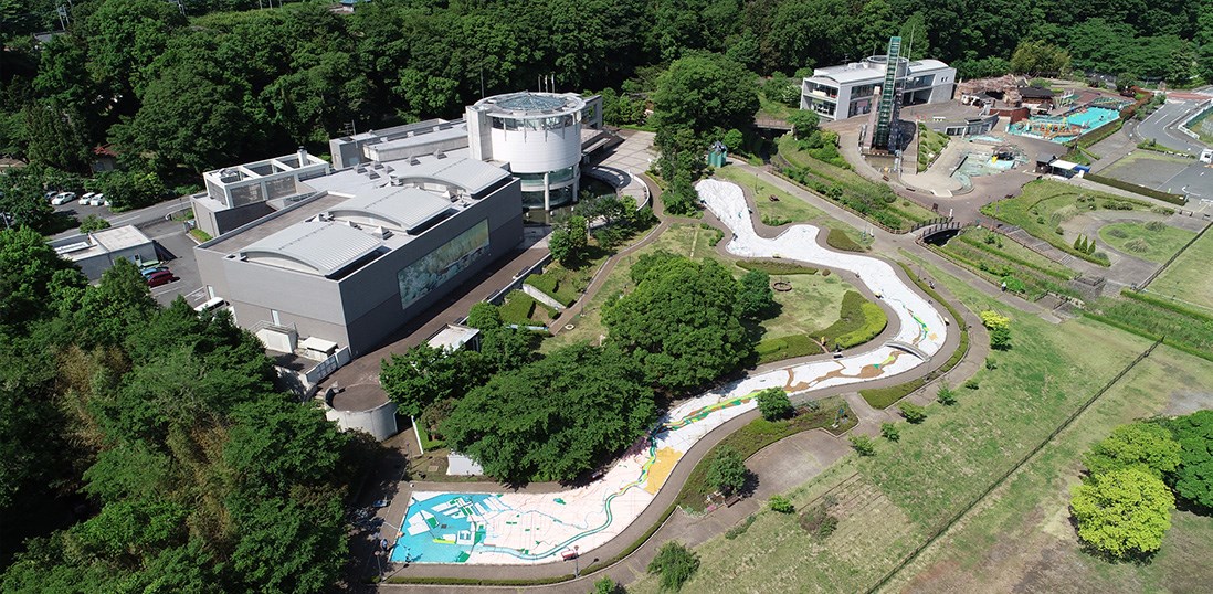埼玉県立川の博物館 かわはく｜埼玉県立川の博物館（かわはく）