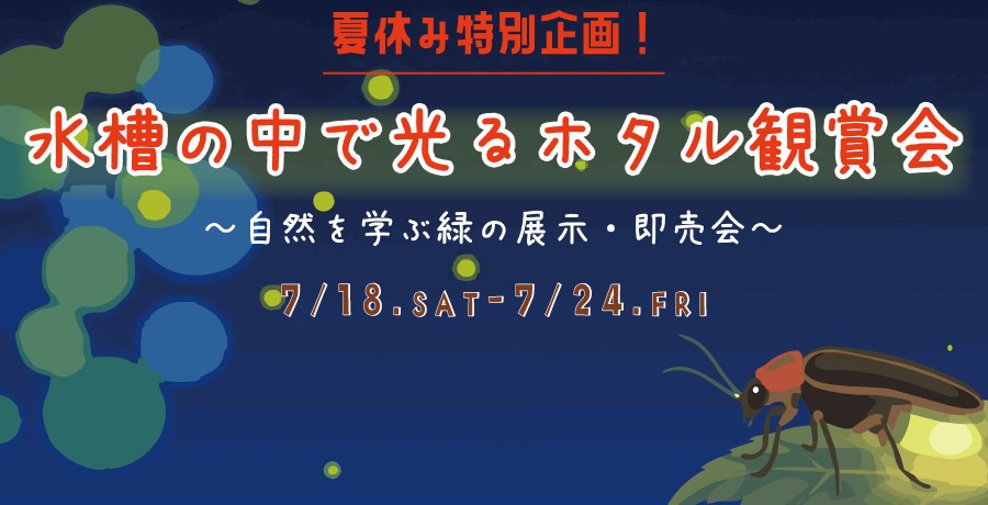 ふなばしアンデルセン公園 にじの池｜ふなばしアンデルセン公園